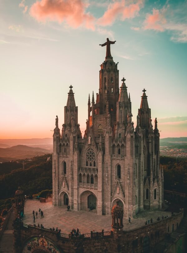 brown cathedral during daytime