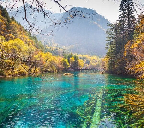 九寨沟五花海秋景，四川最美彩色湖泊之一，湖水清澈见底