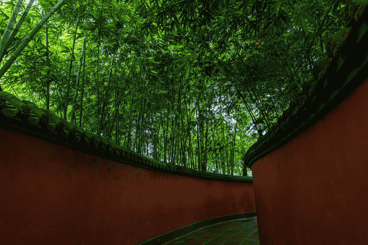 武侯祠著名的红墙通道，成都热门打卡点，适合拍照出片的文化景观